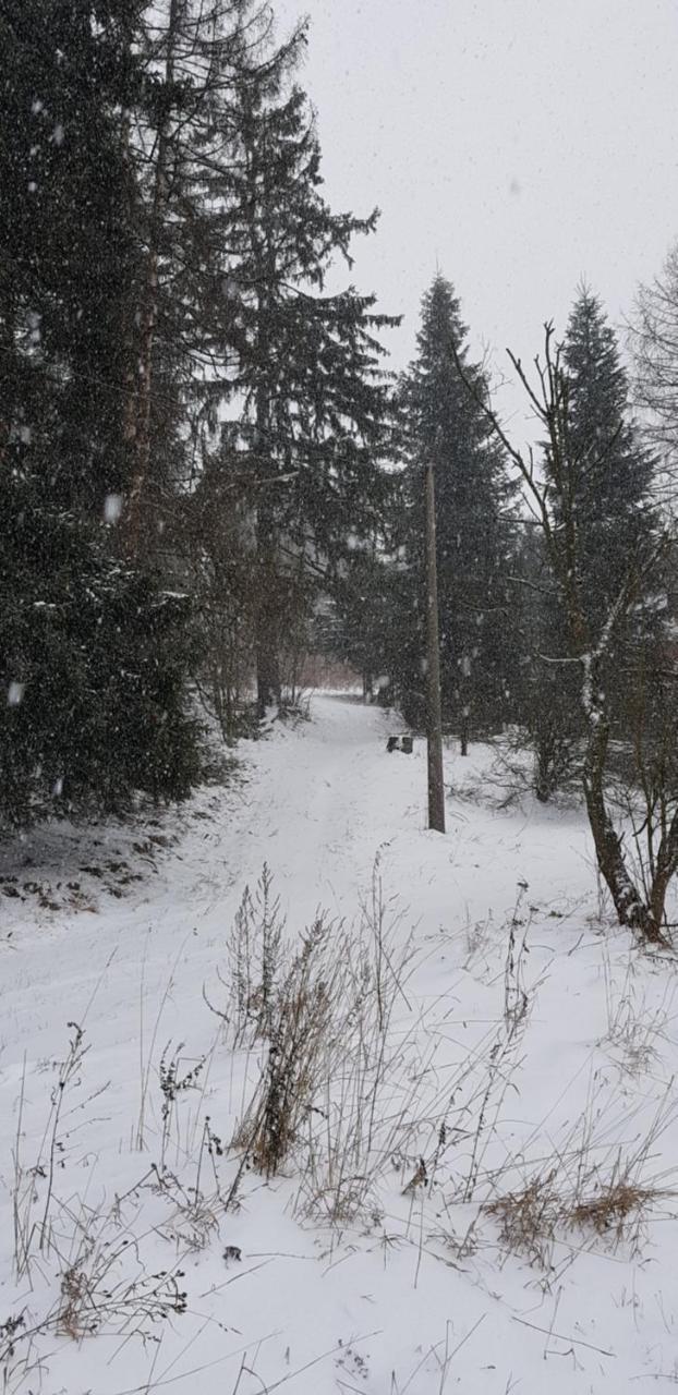 Chata Na Kovarne Rýmařov Exterior foto